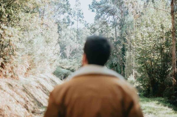 A man seen from behind walking in the forest