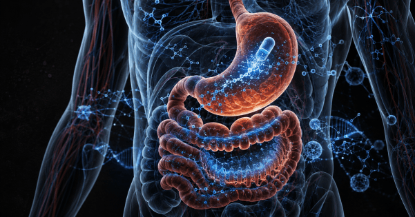 Futuristic illustration of a human digestive system showing a capsule dissolving inside the stomach.